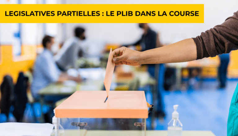 Elections législatives partielles